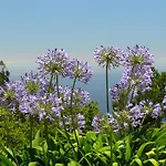 Romantic Retreat By Slice Of Heaven 度假居 *