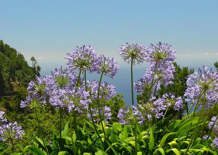 Romantic Retreat By Slice Of Heaven Hébergement de vacances *